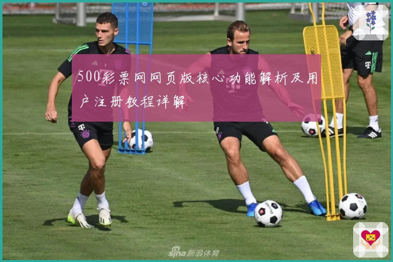 500彩票网网页版核心功能解析及用户注册教程详解